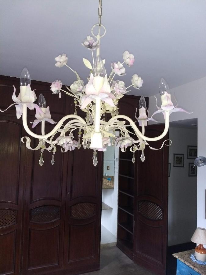 Suites Em Meio A Mata Atlantica Itaipava 外观 照片