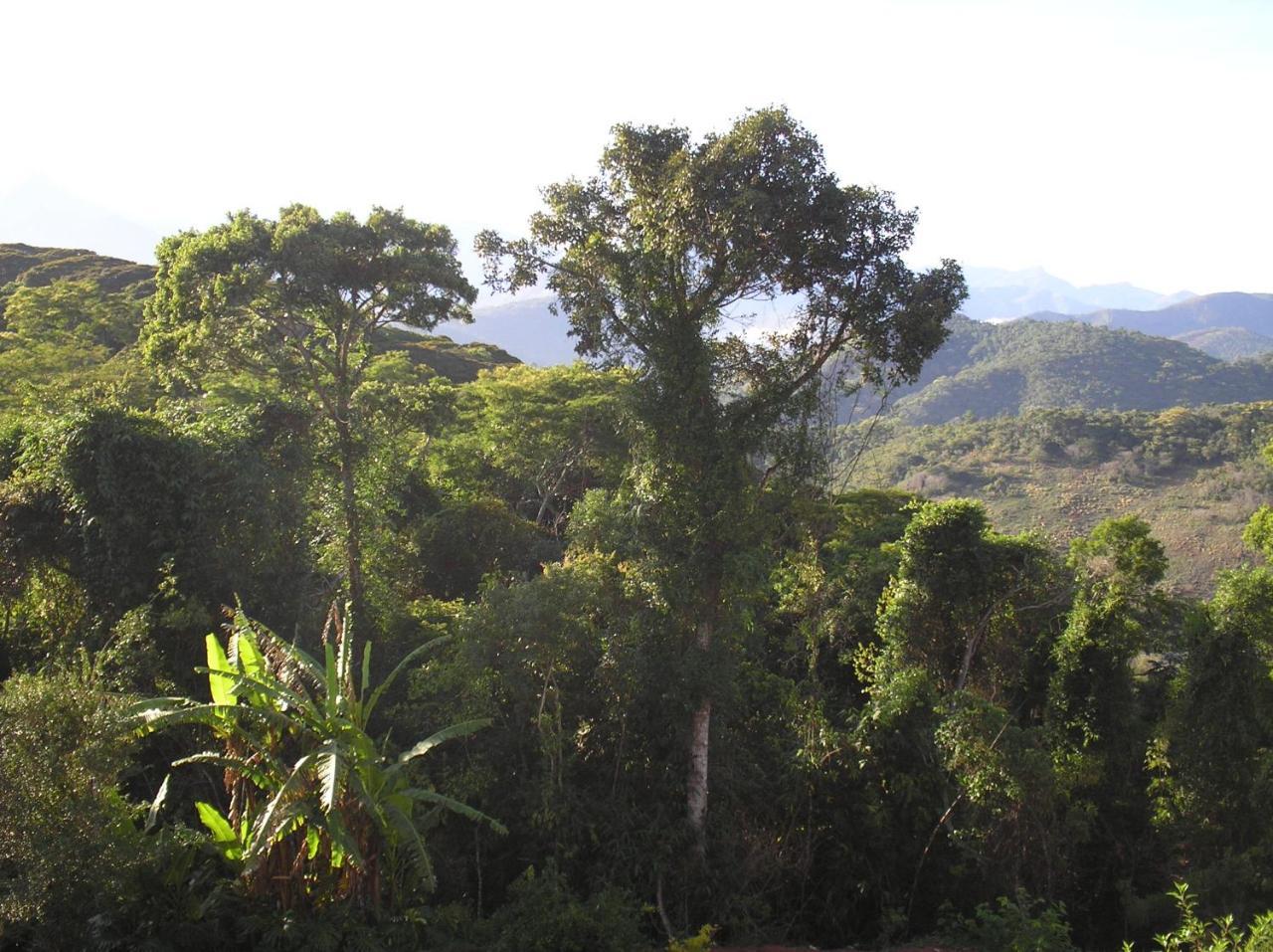 Suites Em Meio A Mata Atlantica Itaipava 外观 照片
